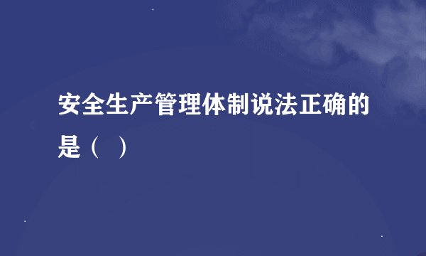 安全生产管理体制说法正确的是（ ）