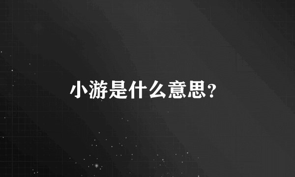 小游是什么意思？