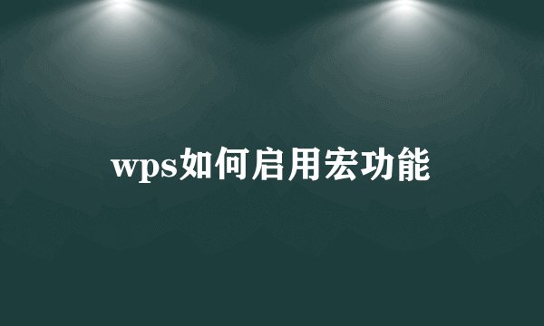 wps如何启用宏功能