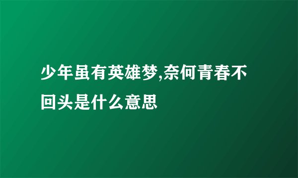 少年虽有英雄梦,奈何青春不回头是什么意思