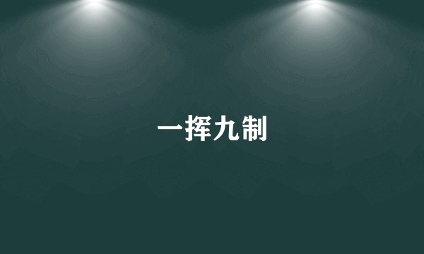 一挥九制