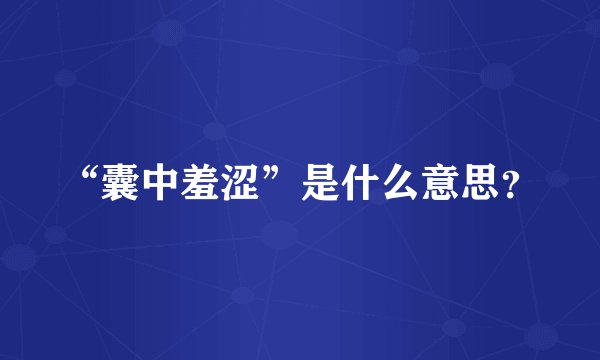 “囊中羞涩”是什么意思？
