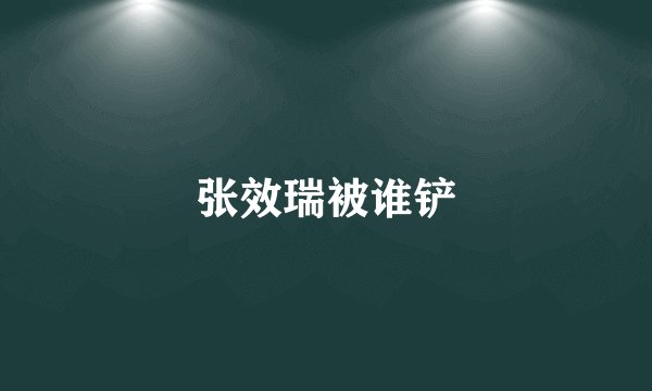 张效瑞被谁铲