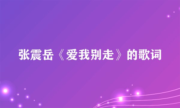 张震岳《爱我别走》的歌词