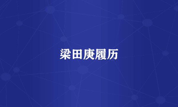 梁田庚履历