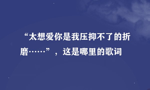 “太想爱你是我压抑不了的折磨……”,这是哪里的歌词