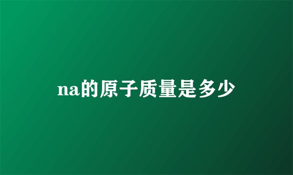na的原子质量是多少