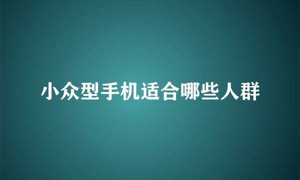 小众型手机适合哪些人群