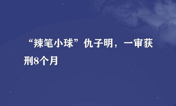 “辣笔小球”仇子明，一审获刑8个月