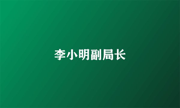 李小明副局长