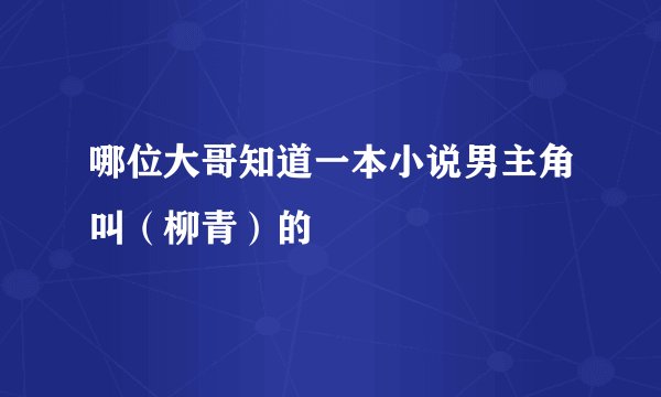 哪位大哥知道一本小说男主角叫（柳青）的