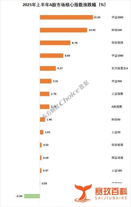 2025上半年涨幅最大的股票有哪些？（涨幅前100股票一览）