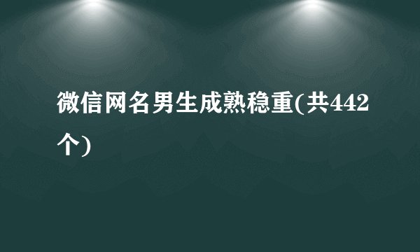 微信网名男生成熟稳重(共442个)