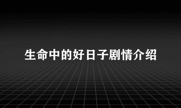 生命中的好日子剧情介绍