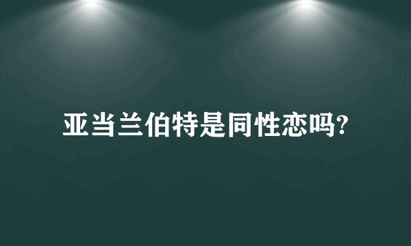 亚当兰伯特是同性恋吗?