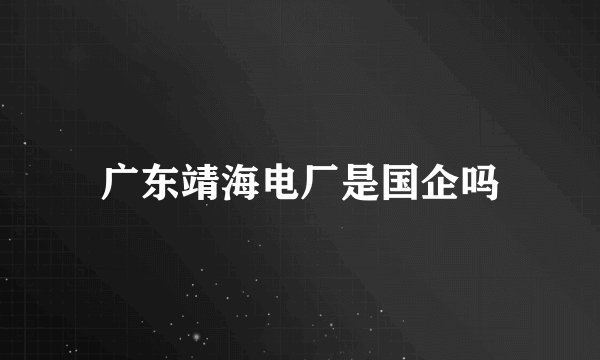 广东靖海电厂是国企吗