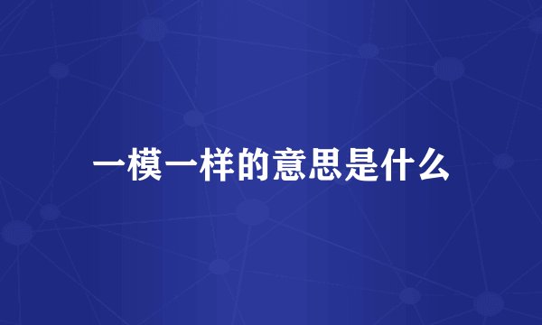 一模一样的意思是什么