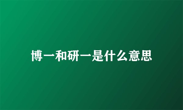 博一和研一是什么意思