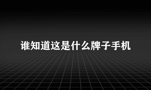谁知道这是什么牌子手机
