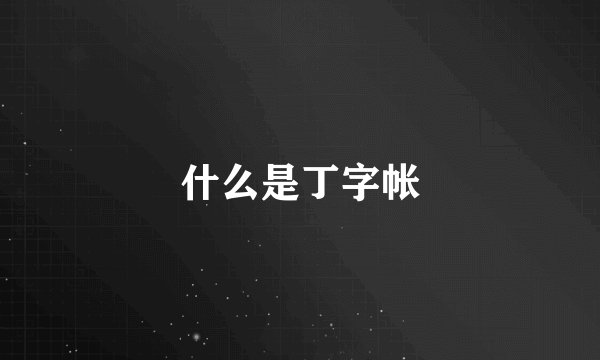 什么是丁字帐