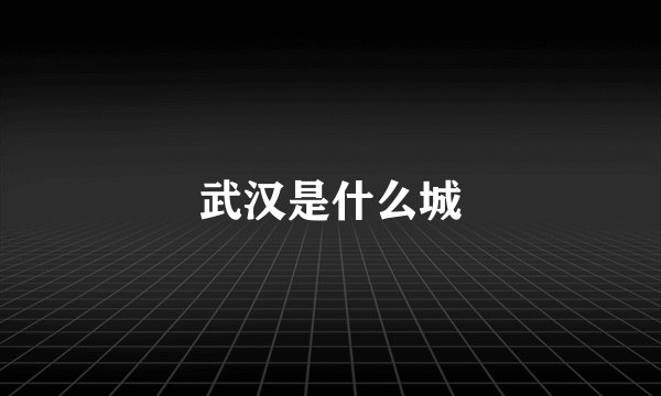 武汉是什么城