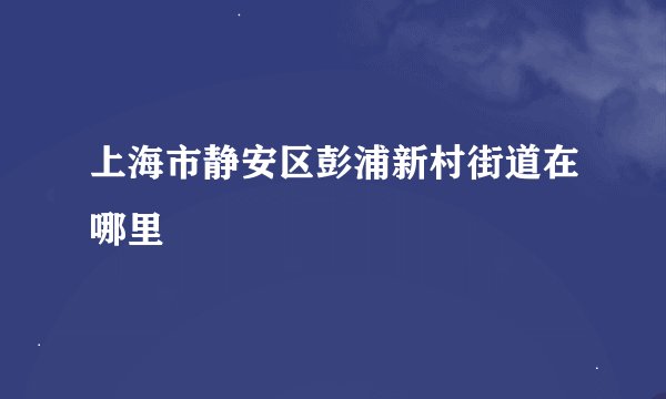 上海市静安区彭浦新村街道在哪里
