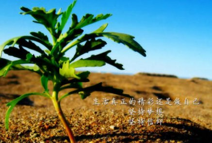 励志的八个字的学业祝福怎么写？