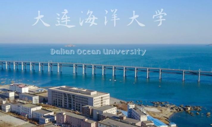 大连海洋大学的专升本在哪个校区啊？