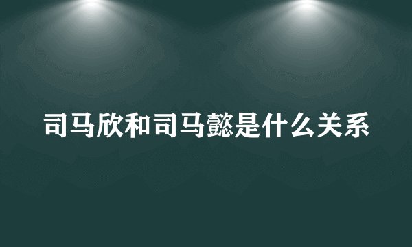 司马欣和司马懿是什么关系