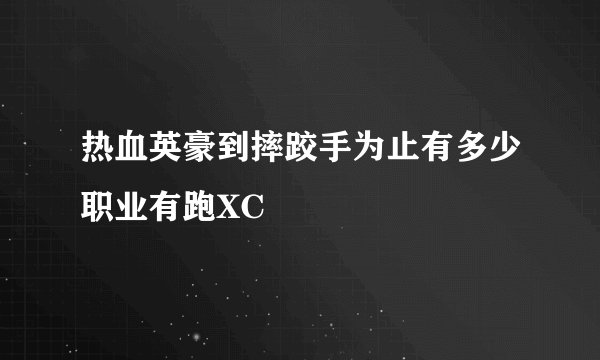 热血英豪到摔跤手为止有多少职业有跑XC