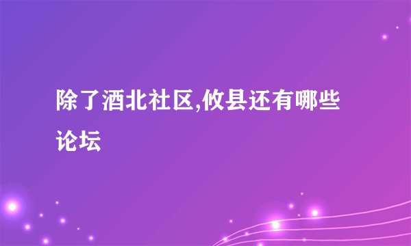 除了酒北社区,攸县还有哪些论坛