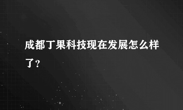 成都丁果科技现在发展怎么样了？