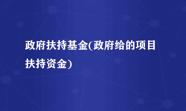 政府扶持基金(政府给的项目扶持资金)