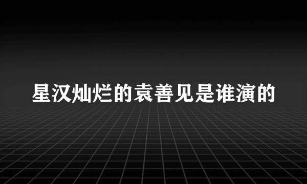星汉灿烂的袁善见是谁演的