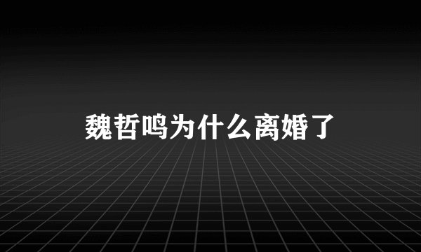 魏哲鸣为什么离婚了