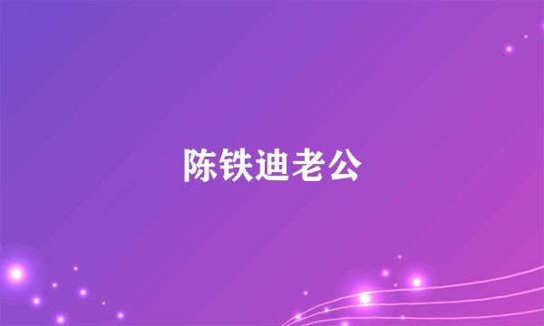陈铁迪老公