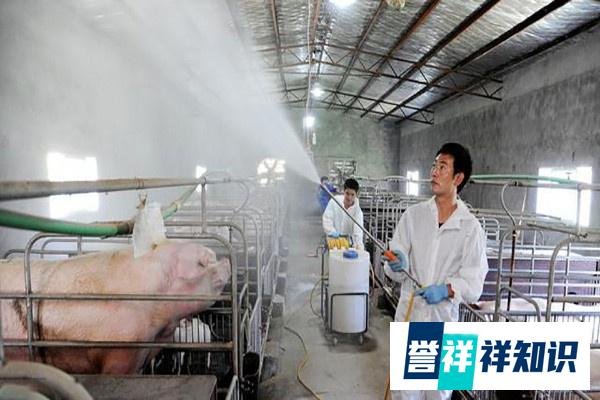 生物除臭剂的原理是什么？好用吗？