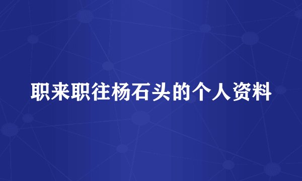 职来职往杨石头的个人资料