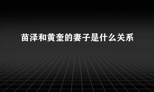 苗泽和黄奎的妻子是什么关系