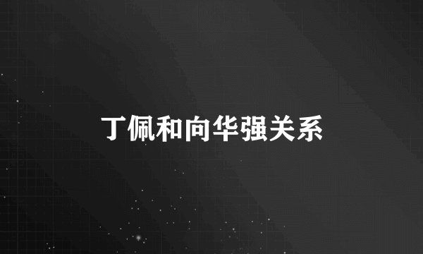 丁佩和向华强关系
