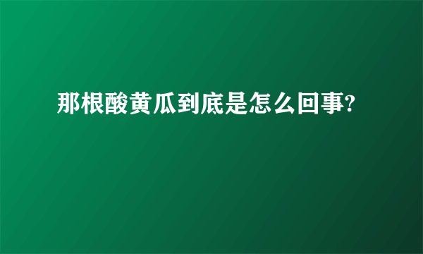 那根酸黄瓜到底是怎么回事?