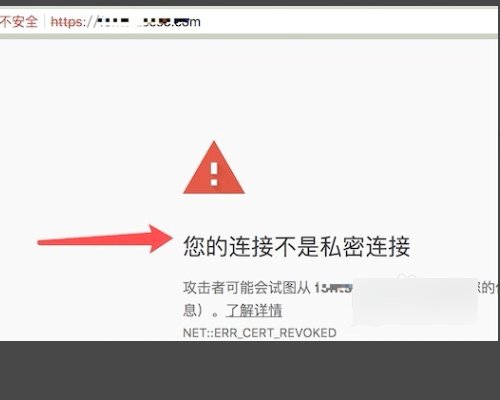 苹果mac上网一直出现您的连接不是私密链接？
