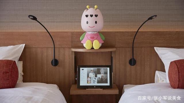 世界上第一个机器人酒店,住一晚需要450元,你敢来体验一番吗?