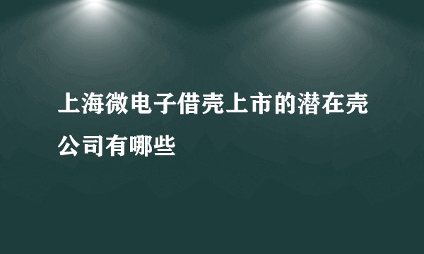 上海微电子借壳上市的潜在壳公司有哪些