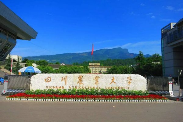 四川农业大学录取分数线2023