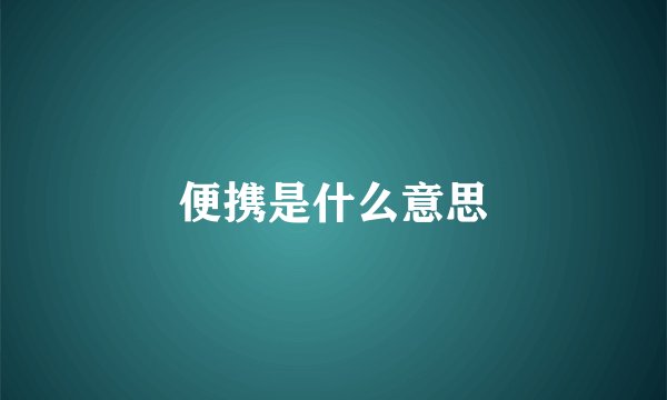便携是什么意思