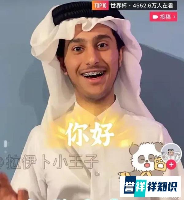 卡塔尔小王子的真实身份