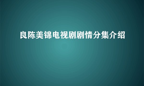 良陈美锦电视剧剧情分集介绍