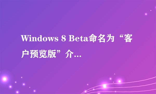 Windows 8 Beta命名为“客户预览版”介绍_Windows 8 Beta命名为“客户预览版”是什么