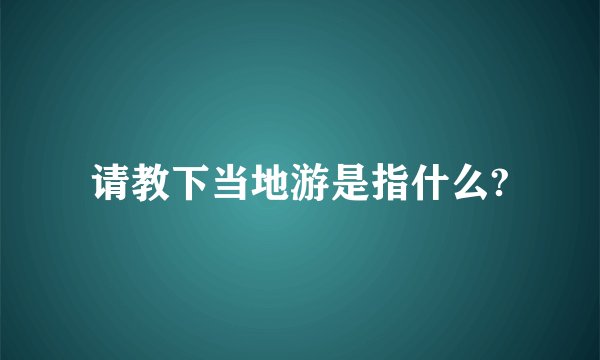 请教下当地游是指什么?